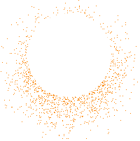 exp box shape